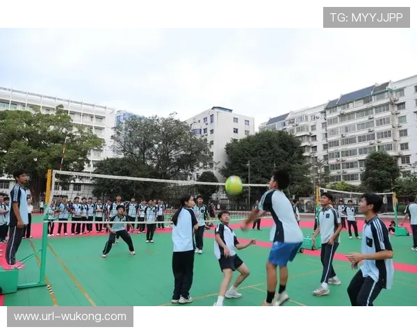 青少年体育赛事供给扩容，社区与学校资源联动增强